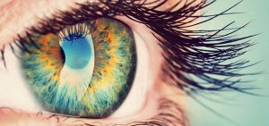 Psychologue Sherbrooke Andrée Fortin